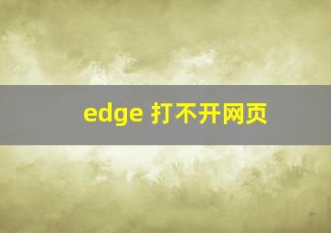 edge 打不开网页